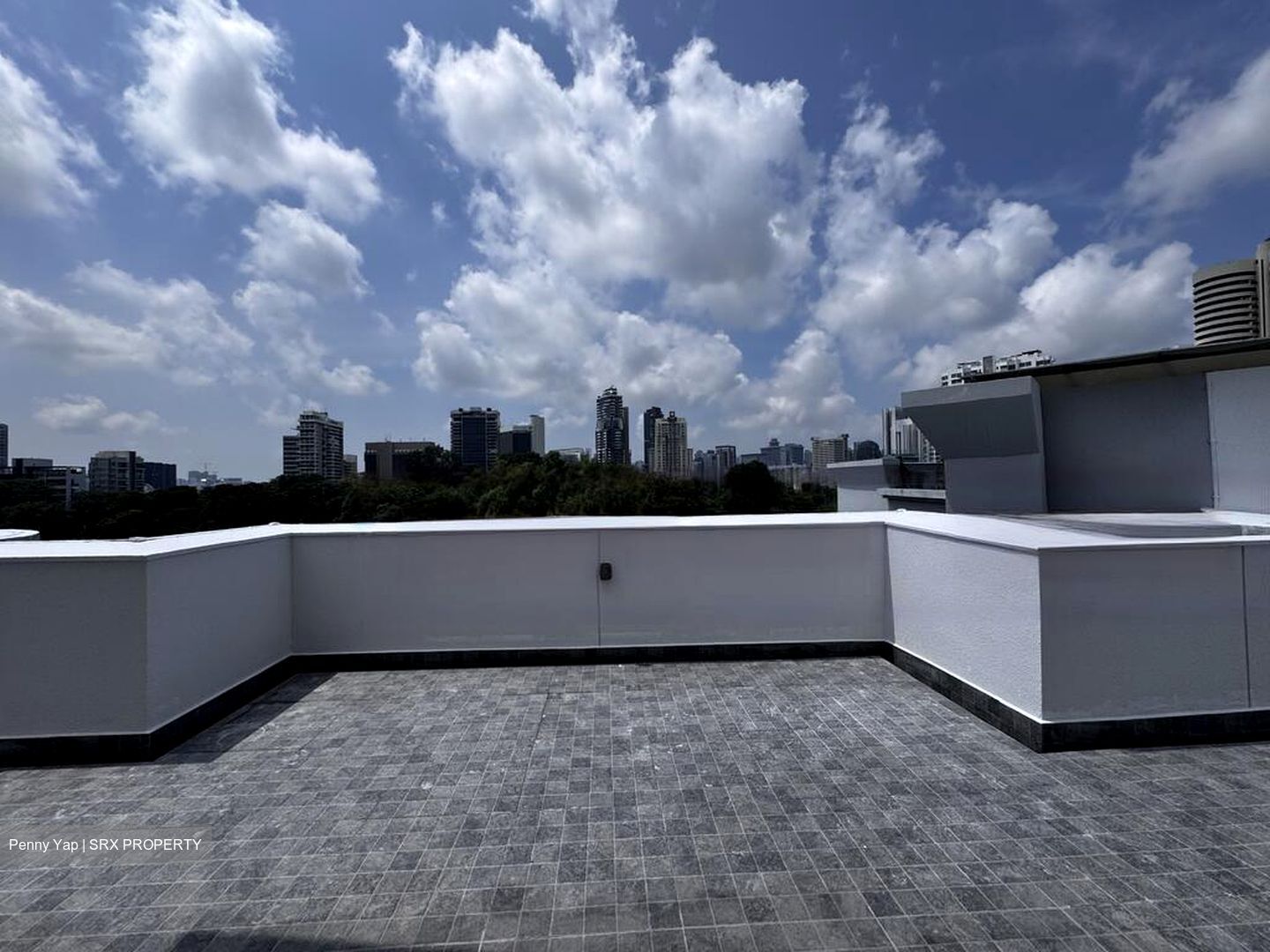 Balmoral 8 (D10), Condominium #479798281